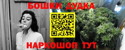 бошки Новокубанск