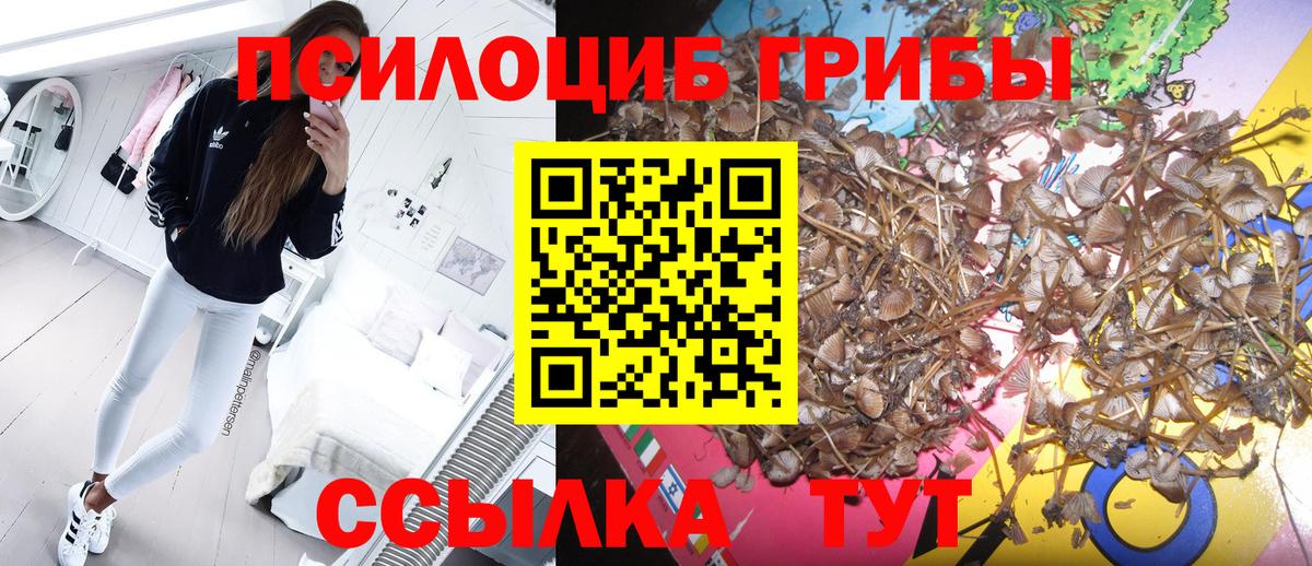 Сочи  Галлюциногенные грибы мицелий  Псилоцибиновые грибы прущие грибы  Вход с VPN 