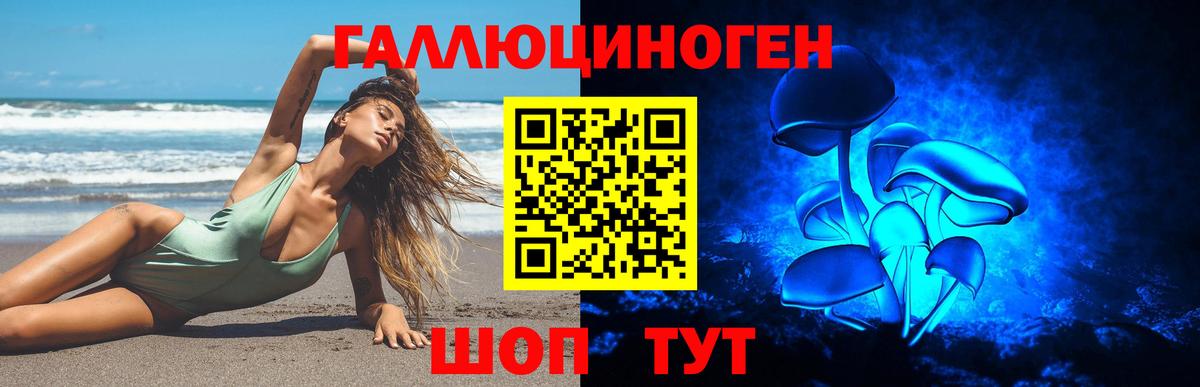 Псилоцибиновые грибы прущие грибы Сочи